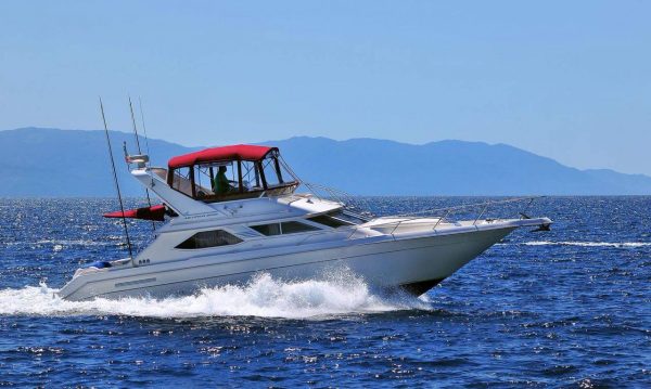 SEA RAY 46 (9)