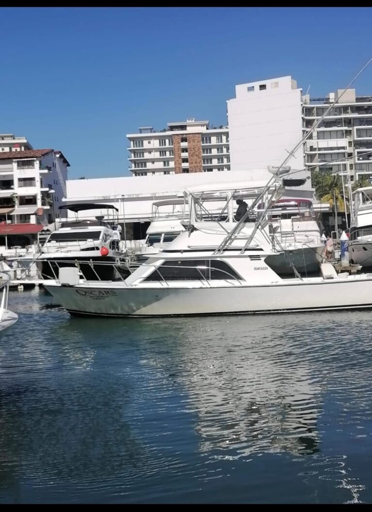 BLACKFINN 32 PIES 8 PASAJEROS, PESCA